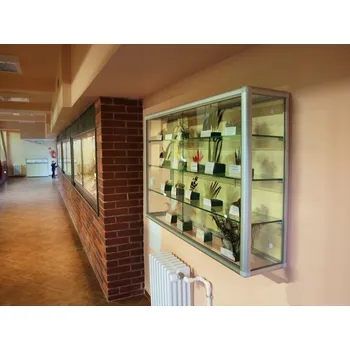 EXPOINT Závěsná prosklená vitrína na zboží s posuvnými dvířky - kalené sklo Název: 80 x 70 x 25cm + 1 police - kalené sklo