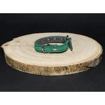 Obojek pro psa Palkar obojek z velurové kůže pro psy 20 cm x 12 mm zelená (Palkar obojek z velurové kůže pro psy 20 cm x 12 mm zelená)