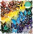 Puzzle Galison Duhoví motýli 500 dílků