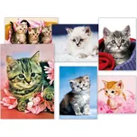Pohlednice dětské s koťátky - mix motivů