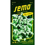 SEMO Statice sinuata limonka bílá 0,5 g
