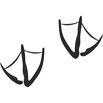 Samolepicí dekorace na vozidlo Husí šlápota 200 x 118 mm