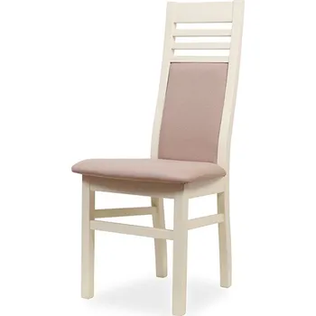 Jídelní židle IBA Moderní židle W 991 Varianta: Stříbrná