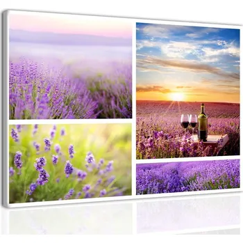 Obraz Malvis ® Obraz siesta v Provence Velikost: 50x40 cm