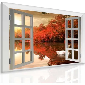 Malvis ® 3D obraz Labuť za oknem Velikost: 80x60 cm