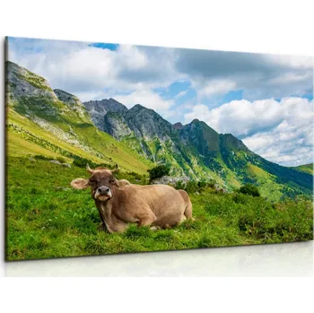 Obraz Malvis ® Obraz Alpská kráva Velikost: 90x60 cm