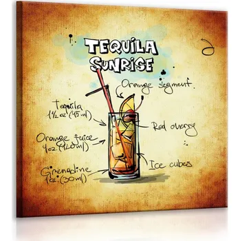 Obraz Malvis ® Obraz cedule Tequila Sunrise Velikost (šířka x výška): 30x30 cm