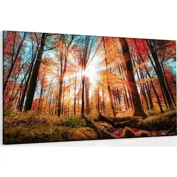 Obraz Malvis ® Obraz paprsky slunce Velikost: 60x40 cm