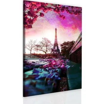 Malvis ® Obraz Kouzelná Paříž Velikost: 60x80 cm