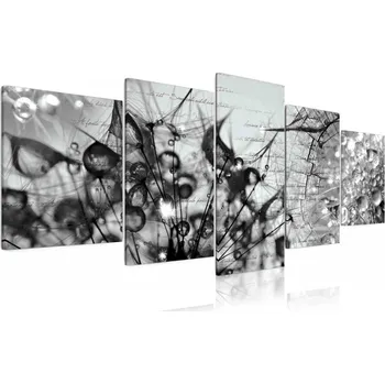 Obraz Malvis ® Černobílý obraz Krása v kapkách rosy Velikost (šířka x výška): 200x90 cm