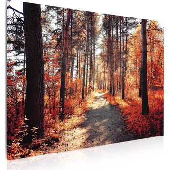 Malvis ® Obraz na plátně Podzimní procházka Velikost (šířka x výška): 90x60 cm