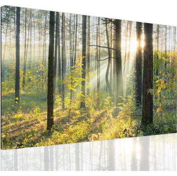 Obraz Malvis ® Obraz na plátně Lesní pohádka Velikost: 60x40 cm