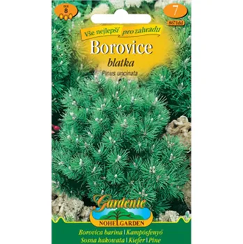 Semeno Nohel Garden Borovice blatka