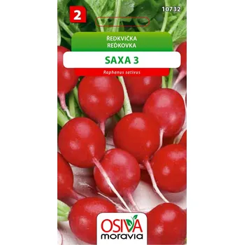 Semeno Ředkvička - Saxa 3