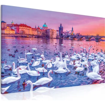 Obraz Malvis ® Obraz Labutě na Vltavě Velikost: 30x20 cm