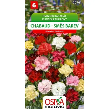 Semeno Hvozdík karafiát - Chabaud - směs barev