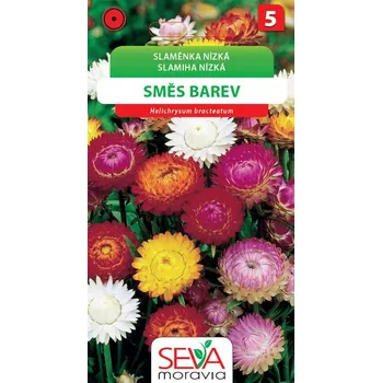 Semeno Smil listenatý - nízký - směs barev