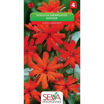 Semeno Kohoutek arkwrightův - oranžovo karmínový