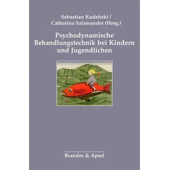 Psychodynamische Behandlungstechnik bei Kindern und Jugendlichen - Kudritzki, Sebastian