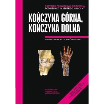 Anatomia prawidłowa człowieka. Kończyna górna, kończyna dolna. (wyd. I) - Jerzy Walocha