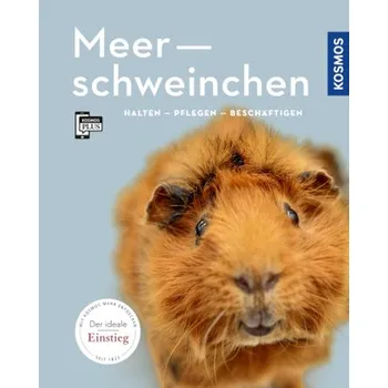Meerschweinchen - Angela Beck