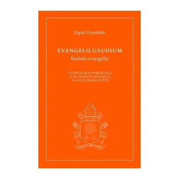 Duchovní literatura Evangelii gaudium (Radost evangelia)