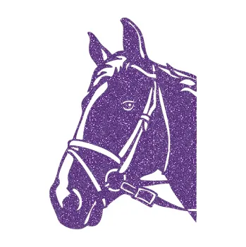 Samolepící dekorace SAMOLEPKA Kůň 028 levá hlava s uzdou (87 - Ultra Metalic fialová) NA AUTO, NÁLEPKA, FÓLIE, POLEP, TUNING, VLASTNÍ TEXT, TISK, AUTOSAMOLEPKY.cz, POLEPY, OBRÁZEK, LOGO, SAMOLEPKY