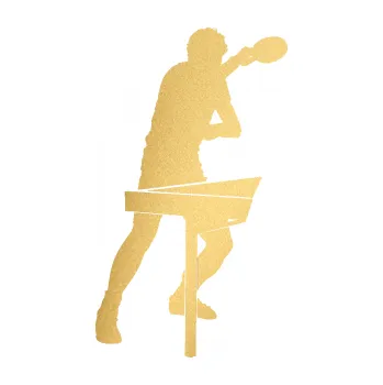 Polep vozidla Ping pong 003 pravá (43 - zlatá metalíza) SAMOLEPKA NA AUTO, NÁLEPKA, FÓLIE, POLEP, TUNING, VLASTNÍ TEXT, TISK, AUTOSAMOLEPKY.cz, POLEPY, OBRÁZEK, LOGO, 3D STICKERS