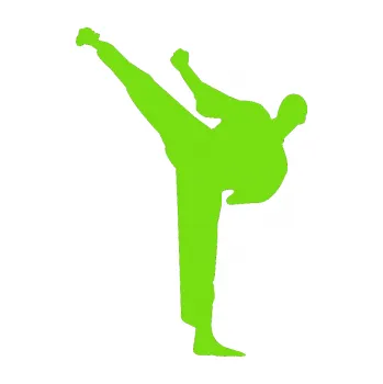 Polep vozidla Karate 001 levá (04 - zelená kawasaki) SAMOLEPKA NA AUTO, NÁLEPKA, FÓLIE, POLEP, TUNING, VLASTNÍ TEXT, TISK, AUTOSAMOLEPKY.cz, POLEPY, OBRÁZEK, LOGO, 3D STICKERS