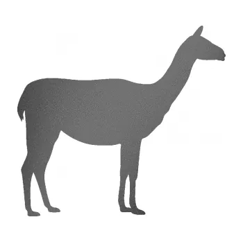 Samolepící dekorace Lama 001 pravá (41 - grafitová metalíza) SAMOLEPKA NA AUTO, NÁLEPKA, FÓLIE, POLEP, TUNING, VLASTNÍ TEXT, TISK, AUTOSAMOLEPKY.cz, POLEPY, OBRÁZEK, LOGO, 3D STICKERS