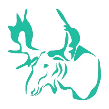 Samolepící dekorace SAMOLEPKA Los 004 levá (25 - tyrkysová) NA AUTO, NÁLEPKA, FÓLIE, POLEP, TUNING, VLASTNÍ TEXT, TISK, AUTOSAMOLEPKY.cz, POLEPY, OBRÁZEK, LOGO, SAMOLEPKY