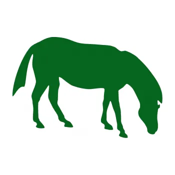 Samolepící dekorace Kůň 006 pravá na pastvě (20 - tmavě zelená) SAMOLEPKA NA AUTO, NÁLEPKA, FÓLIE, POLEP, TUNING, VLASTNÍ TEXT, TISK, AUTOSAMOLEPKY.cz, POLEPY, OBRÁZEK, LOGO, 3D STICKERS