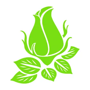 Samolepící dekorace Květina dekor 018 levá růže (04 - zelená kawasaki) SAMOLEPKA NA AUTO, NÁLEPKA, FÓLIE, POLEP, TUNING, VLASTNÍ TEXT, TISK, AUTOSAMOLEPKY.cz, POLEPY, OBRÁZEK, LOGO, 3D STICKERS