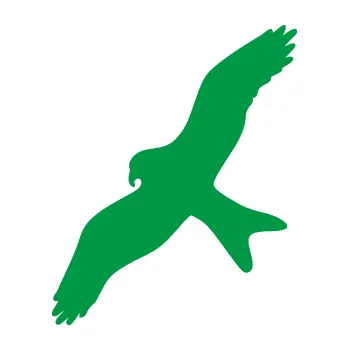 Samolepící dekorace Dravec na sklo 002 levá (12 - zelená) SAMOLEPKA NA AUTO, NÁLEPKA, FÓLIE, POLEP, TUNING, VLASTNÍ TEXT, TISK, AUTOSAMOLEPKY.cz, POLEPY, OBRÁZEK, LOGO, 3D STICKERS