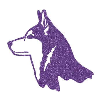 Polep vozidla Pes 096 levá Husky (87 - Ultra Metalic fialová) SAMOLEPKA NA AUTO, NÁLEPKA, FÓLIE, POLEP, TUNING, VLASTNÍ TEXT, TISK, AUTOSAMOLEPKY.cz, POLEPY, OBRÁZEK, LOGO, 3D STICKERS