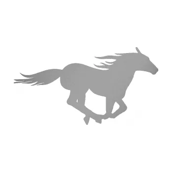Samolepící dekorace Kůň 029 pravá (42 - stříbrná metalíza) SAMOLEPKA NA AUTO, NÁLEPKA, FÓLIE, POLEP, TUNING, VLASTNÍ TEXT, TISK, AUTOSAMOLEPKY.cz, POLEPY, OBRÁZEK, LOGO, 3D STICKERS