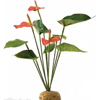 Dekorace do terária ExoTerra Anthurium Bush