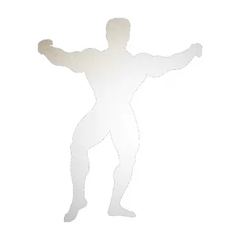 Polep vozidla SAMOLEPKA Kulturista 008 levá (82 - odrazková reflexní bílá) NA AUTO, NÁLEPKA, FÓLIE, POLEP, TUNING, VLASTNÍ TEXT, TISK, AUTOSAMOLEPKY.cz, POLEPY, OBRÁZEK, LOGO, SAMOLEPKY