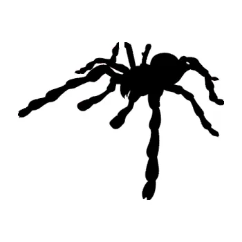 Samolepící dekorace Pavouk 013 - levá (01 - černá) SAMOLEPKA NA AUTO, NÁLEPKA, FÓLIE, POLEP, TUNING, VLASTNÍ TEXT, TISK, AUTOSAMOLEPKY.cz, POLEPY, OBRÁZEK, LOGO, 3D STICKERS