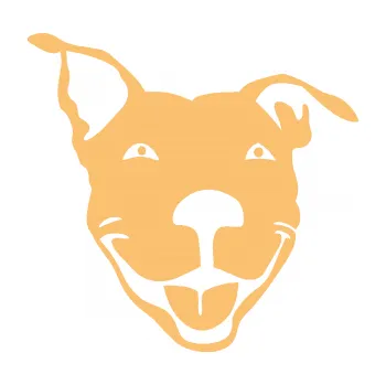 Polep vozidla Pes 072 pravá Pitbull (08 - béžová) SAMOLEPKA NA AUTO, NÁLEPKA, FÓLIE, POLEP, TUNING, VLASTNÍ TEXT, TISK, AUTOSAMOLEPKY.cz, POLEPY, OBRÁZEK, LOGO, 3D STICKERS