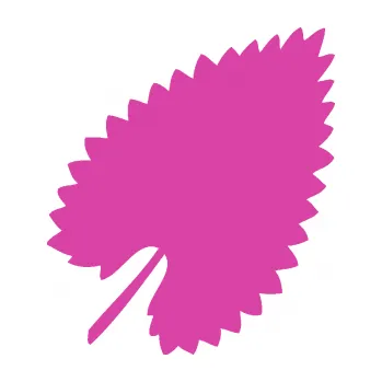 Samolepící dekorace List 001 pravá (16 - růžová) SAMOLEPKA NA AUTO, NÁLEPKA, FÓLIE, POLEP, TUNING, VLASTNÍ TEXT, TISK, AUTOSAMOLEPKY.cz, POLEPY, OBRÁZEK, LOGO, 3D STICKERS