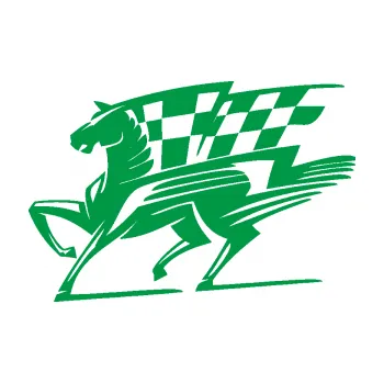Samolepící dekorace Kůň racing 001 levá se šachovnicí (12 - zelená) SAMOLEPKA NA AUTO, NÁLEPKA, FÓLIE, POLEP, TUNING, VLASTNÍ TEXT, TISK, AUTOSAMOLEPKY.cz, POLEPY, OBRÁZEK, LOGO, 3D STICKERS