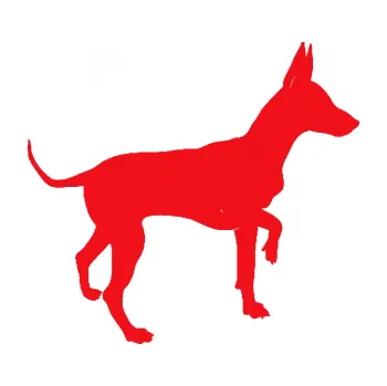 Polep vozidla SAMOLEPKA Pes 093 pravá Pražský krysařík (10 - červená) NA AUTO, NÁLEPKA, FÓLIE, POLEP, TUNING, VLASTNÍ TEXT, TISK, AUTOSAMOLEPKY.cz, POLEPY, OBRÁZEK, LOGO, SAMOLEPKY