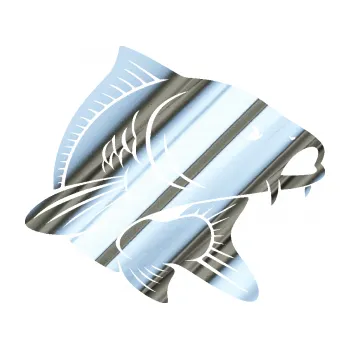 Polep vozidla SAMOLEPKA NA AUTO Kapr 008 pravá (80 - chrom fólie stříbrná zrcadlová) NÁLEPKA, FÓLIE, POLEP, TUNING, VLASTNÍ TEXT, TISK, AUTOSAMOLEPKY.cz, POLEPY, OBRÁZEK, LOGO, SAMOLEPKY