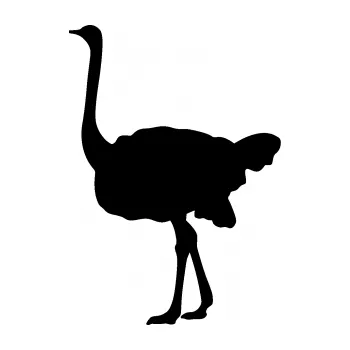 Samolepící dekorace Pštros 001 levá (01 - černá) SAMOLEPKA NA AUTO, NÁLEPKA, FÓLIE, POLEP, TUNING, VLASTNÍ TEXT, TISK, AUTOSAMOLEPKY.cz, POLEPY, OBRÁZEK, LOGO, 3D STICKERS