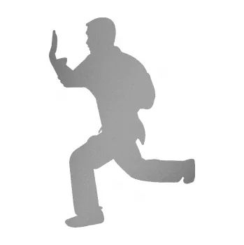 Polep vozidla Karate 002 levá (42 - stříbrná metalíza) SAMOLEPKA NA AUTO, NÁLEPKA, FÓLIE, POLEP, TUNING, VLASTNÍ TEXT, TISK, AUTOSAMOLEPKY.cz, POLEPY, OBRÁZEK, LOGO, 3D STICKERS