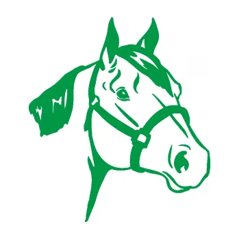Samolepící dekorace Kůň 040 pravá (12 - zelená) SAMOLEPKA NA AUTO, NÁLEPKA, FÓLIE, POLEP, TUNING, VLASTNÍ TEXT, TISK, AUTOSAMOLEPKY.cz, POLEPY, OBRÁZEK, LOGO, 3D STICKERS