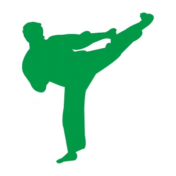 Polep vozidla Karate 008 pravá (12 - zelená) SAMOLEPKA NA AUTO, NÁLEPKA, FÓLIE, POLEP, TUNING, VLASTNÍ TEXT, TISK, AUTOSAMOLEPKY.cz, POLEPY, OBRÁZEK, LOGO, 3D STICKERS