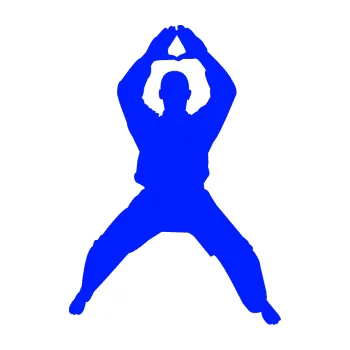 Polep vozidla Karate 003 pravá (19 - modrá dynamic) SAMOLEPKA NA AUTO, NÁLEPKA, FÓLIE, POLEP, TUNING, VLASTNÍ TEXT, TISK, AUTOSAMOLEPKY.cz, POLEPY, OBRÁZEK, LOGO, 3D STICKERS