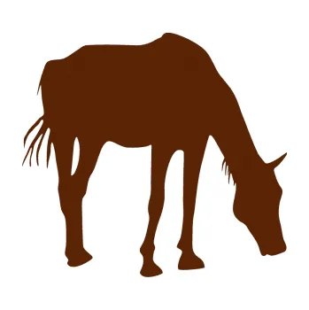 Samolepící dekorace Kůň 008 pravá (15 - hnědá) SAMOLEPKA NA AUTO, NÁLEPKA, FÓLIE, POLEP, TUNING, VLASTNÍ TEXT, TISK, AUTOSAMOLEPKY.cz, POLEPY, OBRÁZEK, LOGO, 3D STICKERS